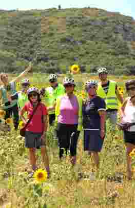 Bike & Cruise through Provence and Camargue