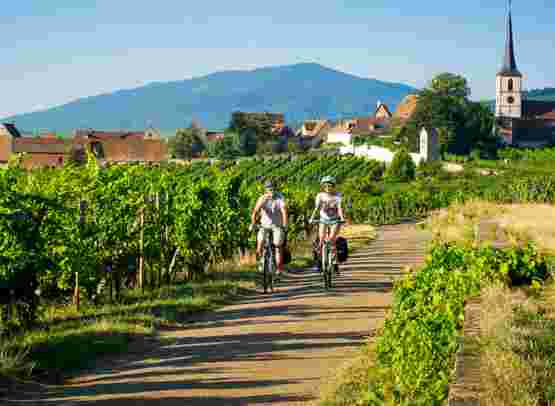 Bike & cruise through Alsace-Lorraine