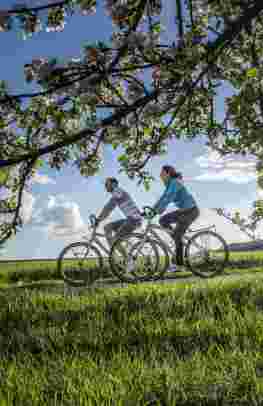 Bike & cruise through the Loire valley
