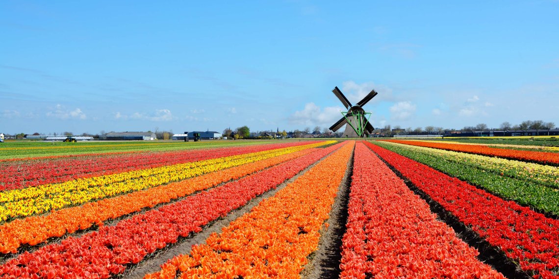 The Netherlands / Authentic Europe