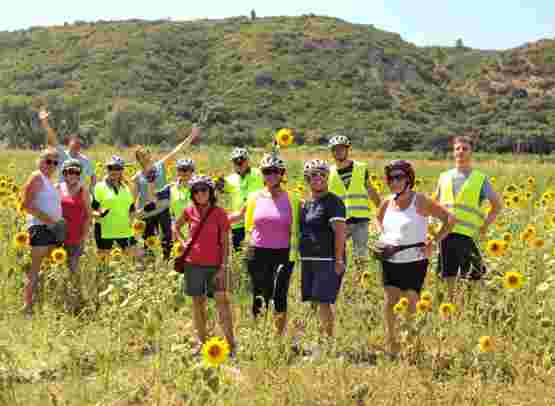 Bike & Cruise through Provence and Camargue