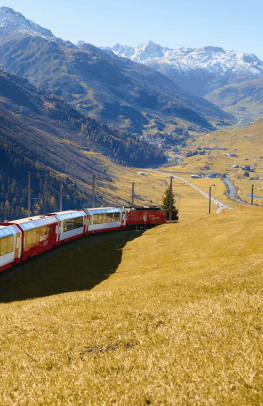 The Glacier & Bernina Express Tour