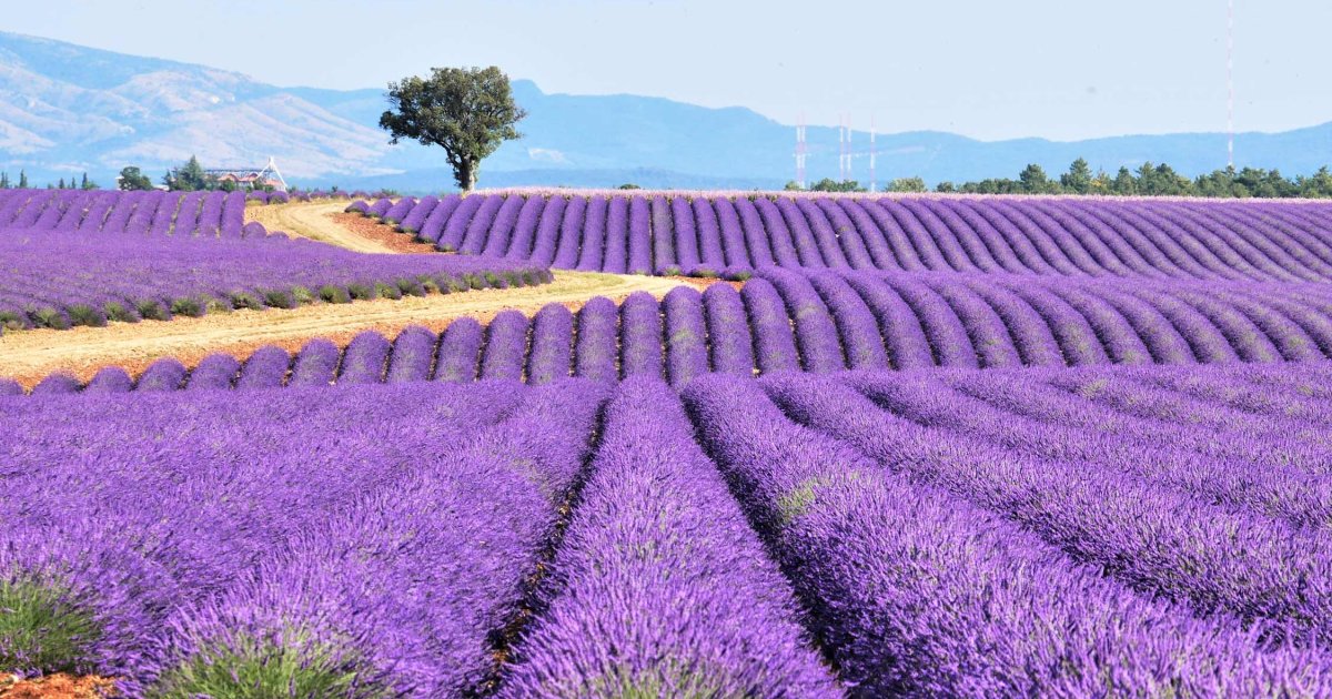 Paris, Provence & French Riviera Tour - 7 Days / Authentic Europe