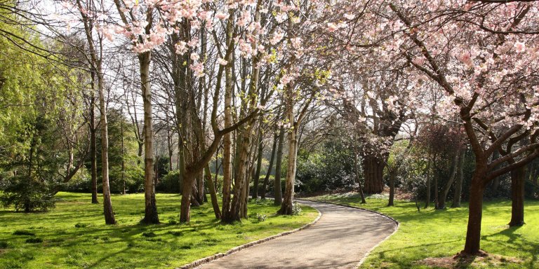 Merrion Square Park